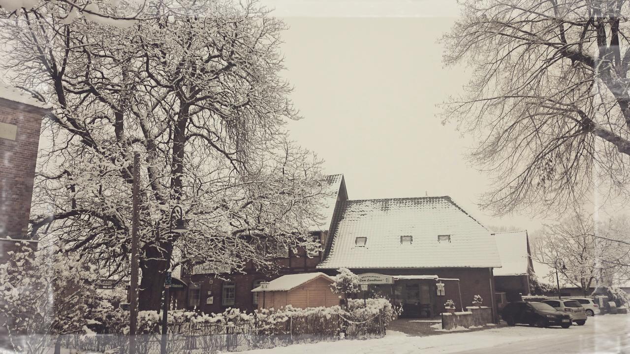 Zum Landhaus Dannenbuettel Sassenburg Esterno foto